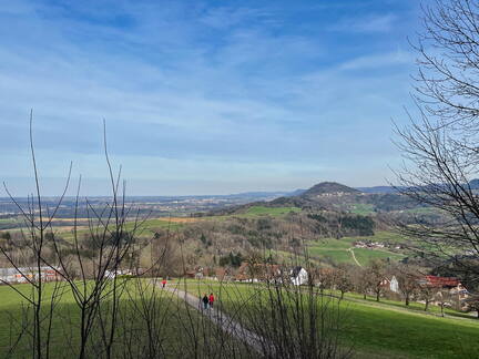 25-03-21 15-23-24 2499